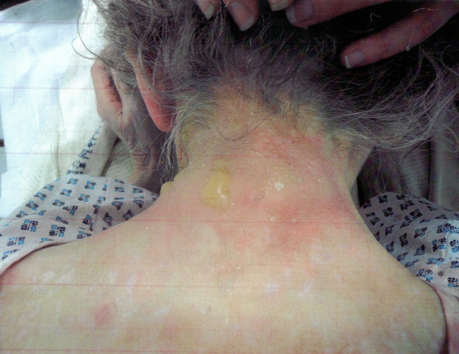 cnl_beryl_mccubbine_2.jpg